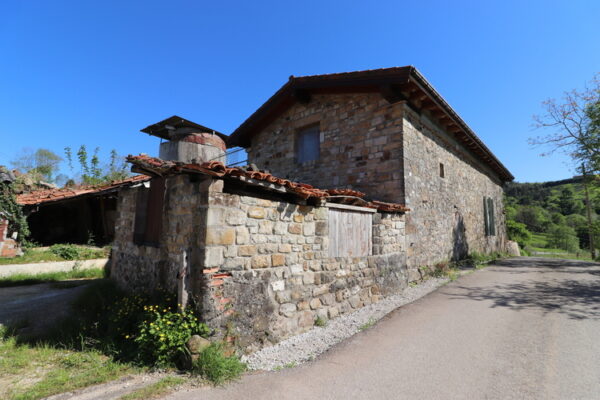 LA PATANA 5