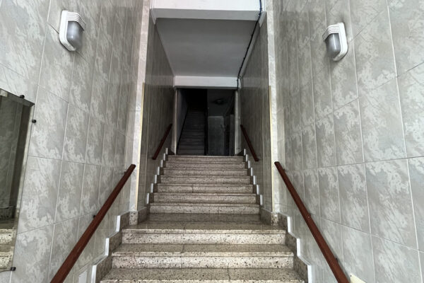 MOSCARDÓ 2